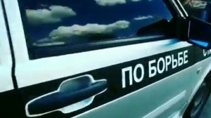 отдел по борьбе с пронтами, наклейки на авто. 2114