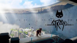 Stray /концовка | Свет всем!