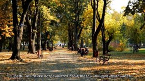 Какие канарейки лучше поют?