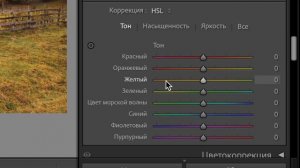 БЫСТРО И ПОНЯТНО - цветокоррекция в lightroom - настройка цвета в лайтрум