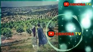 Туй боб мп3  кушиклар без реклама