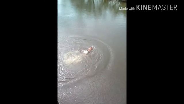 прыгнул с моста разбился смотреть онлайн