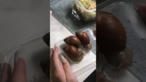 Мегалобулимус облонгус.Улитки мегасы .Распаковка,заселение