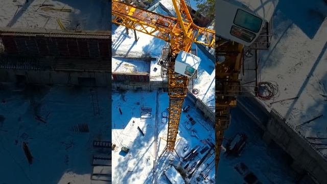 Flora & Fauna \\ Флора и Фауна \\ полет над жилым комплексом в марте 2023