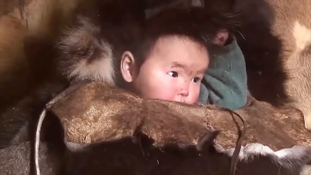 Почему чукчи меняются женами? Странный обычай народа Крайнего Севера...