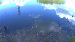 Вторая попытка ловли карася в озере,после электроудочки.Планы на лето.