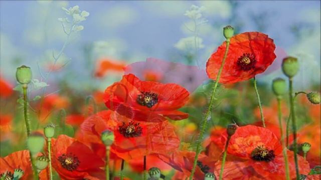 GAYATRI MANTRA смотреть онлайн