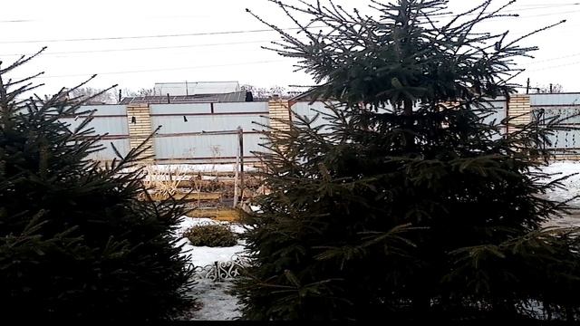 Записки вышивальщицы. ЭСТЭ  Дорогой гость , Панна  Хозяйка тундры , новые наборы и поболтаем смотреть онлайн