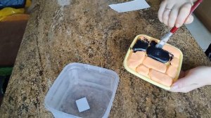 Влажная камера для рептилий (для эублефара) своими руками.