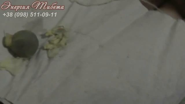 Отзывы  тампоны китайские лечебные эксперимент   тампон первый
