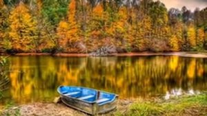 Букет бумажных роз