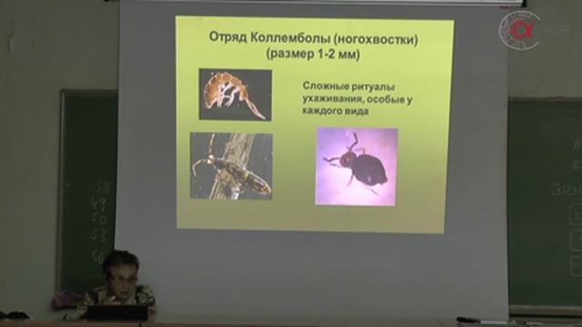 Зоя Зорина: "Введение в зоопсихологию"