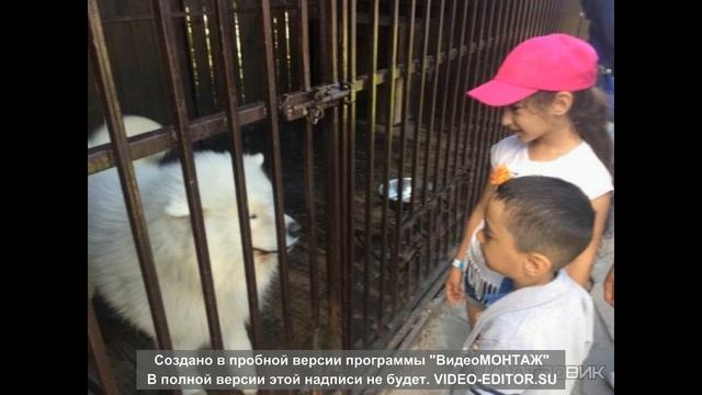 Парк Сказка Москва! смотреть онлайн