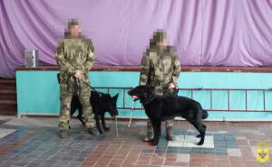 В Херсонской области сотрудники полиции провели комплексные занятия для учащихся школы