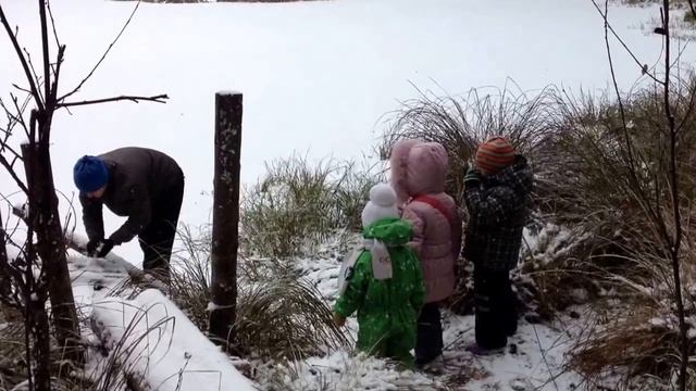 Зима в лесу смотреть онлайн