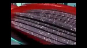 Как растут мышцы? Если использовать стероиды? Real-forum.com