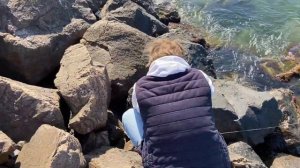 Как я крабов ловил 5 дней на Черном море