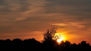 Александр Суханов - ЗАЧЕМ И О ЧЕМ ГОВОРИТЬ