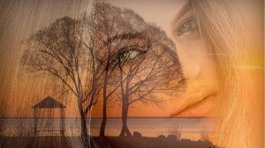 НИКЧЕМНАЯ ЛЮБОВЬ