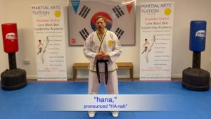 Learn to count 1 to 10 in Korean Martial Arts Style, Perfect for Taekwondo and Hapkido