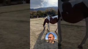 Скидка на мой курс и ответы на вопросы о том, что я делаю в Крыму