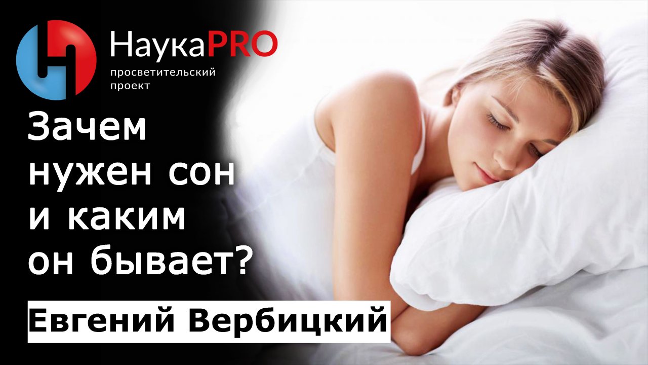 Зачем нужен сон и каким он бывает?| Сомнология и медицина сна – сомнолог Евгений Вербицкий | Научпоп
