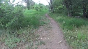 Обкатка карбоновой ригидной вилки 29.  29 Carbon rigid fork testing