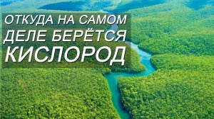 ОТКУДА НА САМОМ ДЕЛЕ БЕРЕТСЯ КИСЛОРОД
