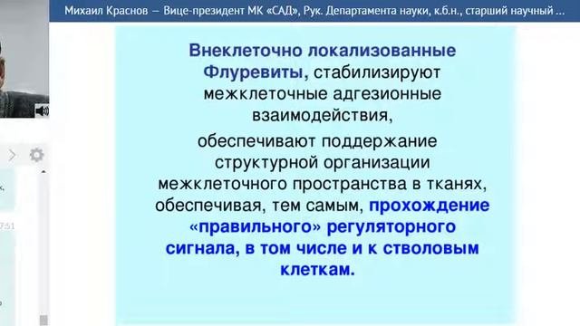 « Флуревиты, аллопатия и гомеопатия. Сравнительный анализ