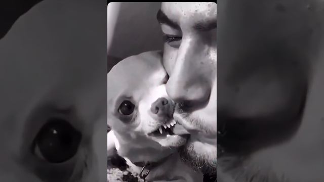 سحب البرطم смотреть онлайн