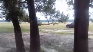 Отдых и рыбалка в Курганской области