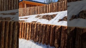 Укрепление берегов лиственницей