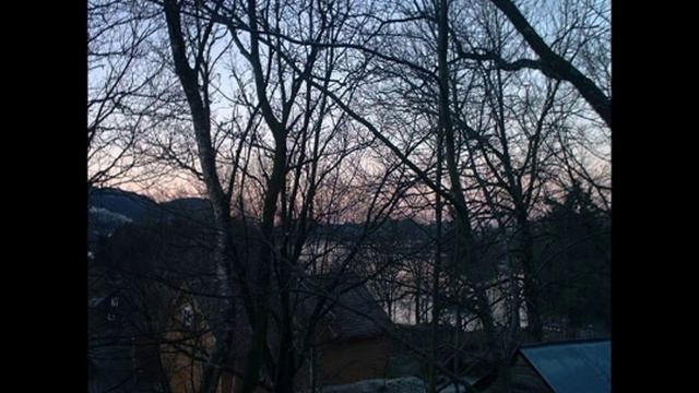 Ray Naessén - Acer Platanoides. Vilnius bassoon quartet live смотреть онлайн