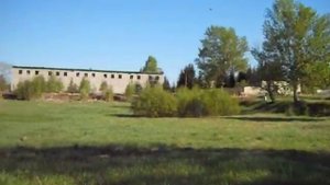 Осматриваем окрестности с Белкой.Помесь бельгийской и немецкой овчарки.