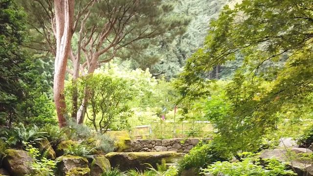 DJI Osmo Pocket Microphone Test - any good? смотреть онлайн