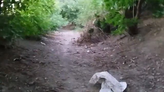 Выживание без купюр - с чего всеначалось.