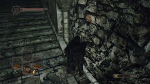 Где найти СТАРТОВЫЙ НАБОР МАГА в DARK SOULS 2 | Гайд для самых маленьких