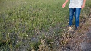 Как победить хвощ ! Страшная тайна !