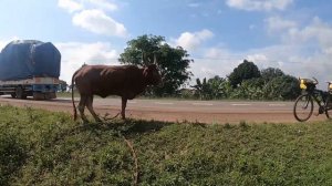 Африка. Уганда на велосипеде