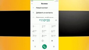 Топ 10 USSD запросов Билайн