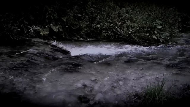 Девятиэтажка. Автор - Софья Маркелова. Мистическая история. ИсторииТО