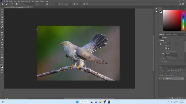 Photoshop Crack 2023 - Photoshop Free Download смотреть онлайн