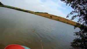 Тесто для ловли карася. 2часть.