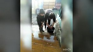 МК по мытью деревянного крыльца!!! Нагайбачка хлопочет!!!