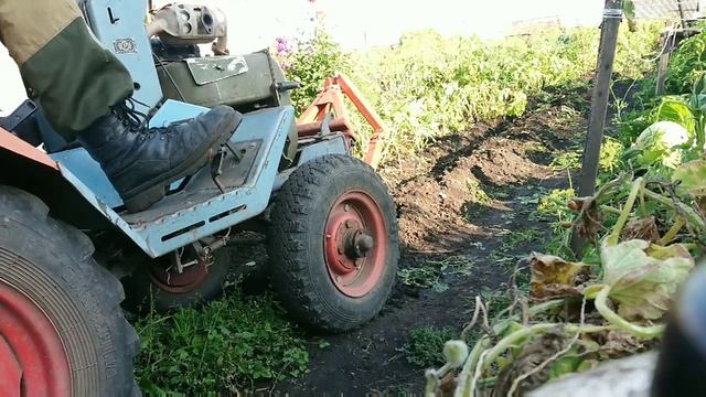 Простой самодельный подкапыватель картофеля для минитрактора кмз 012 смотреть онлайн