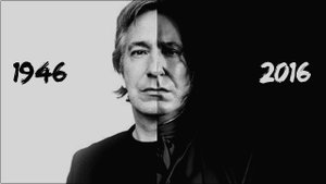 УМЕРШИЕ ЗНАМЕНИТОСТИ: Алан Рикман, Джордж Майкл, Дэвид Боуи.