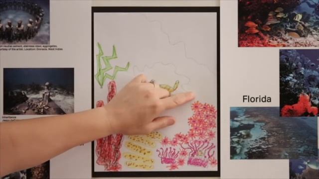 PACE Online: Coral Reef (Visual Art 2nd grade Science) смотреть онлайн