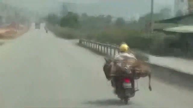 Мега подборка приколов #3 смотреть онлайн