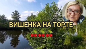 ВСЯ ПРАВДА ОТ ДОМАШНЕЙ НЕЗАБУДКИ. ПИРАТСКАЯ ЖИЗНЬ/ДОМАШНЯЯ НЕЗАБУДКА/ИРИНА ВЕТРОВА.