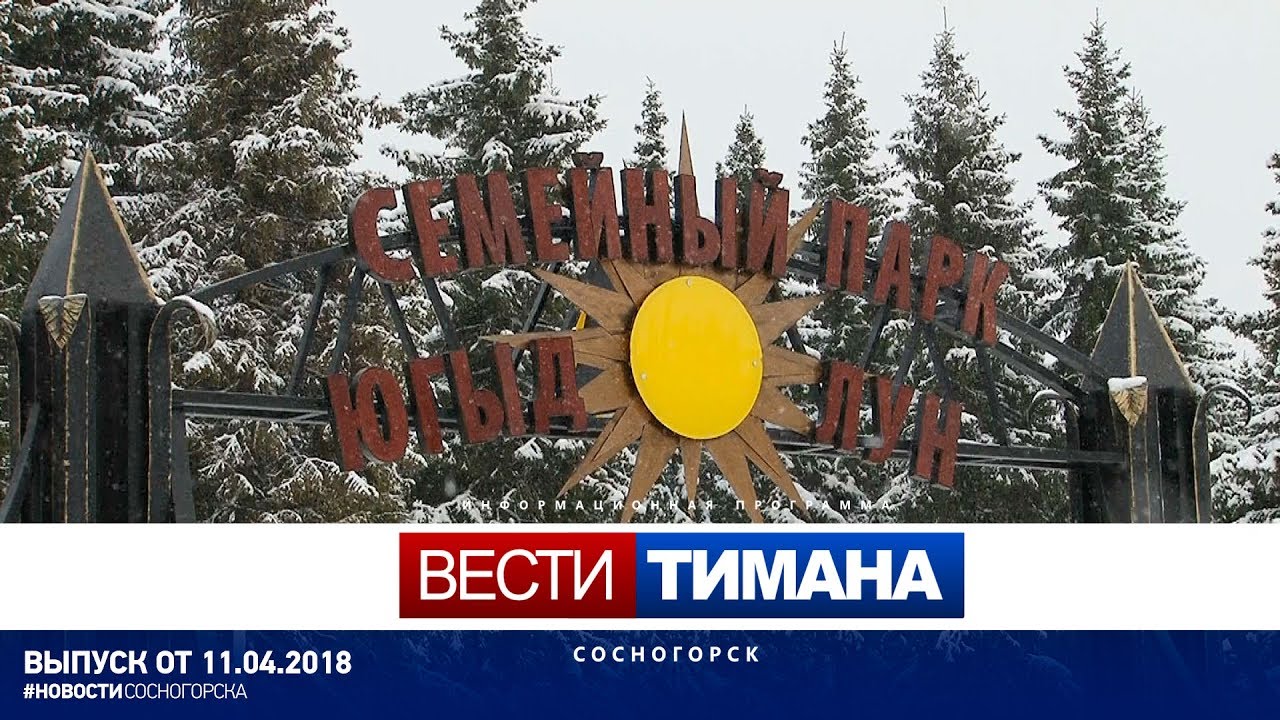 Тимана сосногорск. Парк Югыд лун Сосногорск. Парк Югыд лун Сосногорск фото. Парк Югыд лун Сосногорск дерево. Сосногорск парк Югыд лун кормушка.